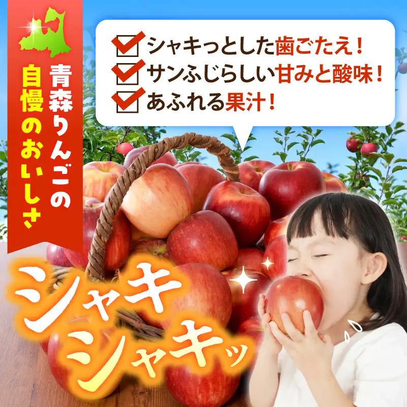 【2027年2月前半発送】【訳あり】 りんご 葉とらずサンふじ 約10kg 青森県産 サンふじ