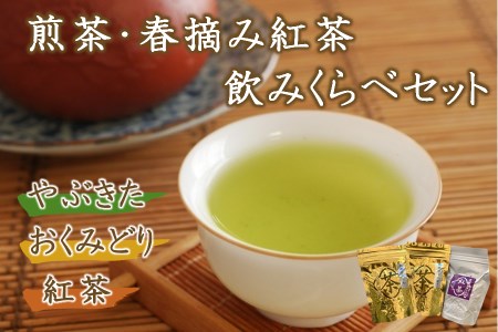 【先行予約】【数量限定】蛍茶園煎茶・春摘み紅茶飲み比べセット190g