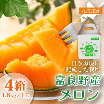 
                  ＜糖度15度以上 赤肉メロン＞富良野産 メロン 1.6kg×1玉 4箱|北海道富良野市 7～8月発送【1705344】
                