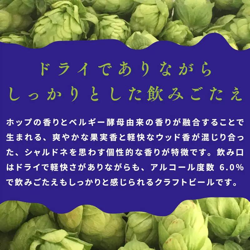 クラフトビール 24本 裏通りのドンダバダ ビール