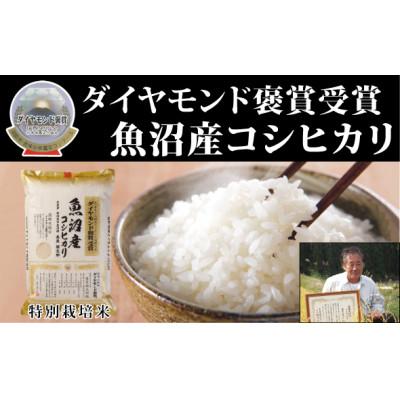 ふるさと納税 津南町 【令和7年産】最高級魚沼産こしひかり【ダイヤモンド褒賞受賞　特別栽培米】5kg(5kg×1)