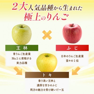 【10月から順次発送】訳あり 青森りんご トキ 約5kg  ふじと王林の良いとこどり【配送不可地域：沖縄県】
