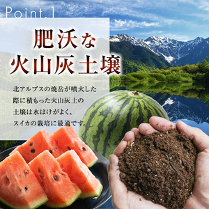 スイカ 下原すいか 信州松本波田産 2L ( 7kg ～ 8kg ) × 1玉 | フルーツ 夏 スイカ 西瓜 大玉スイカ シャキ感 甘い ふるーつ 果物 野菜 長野県 松本市 信州産 人気 ふるさと