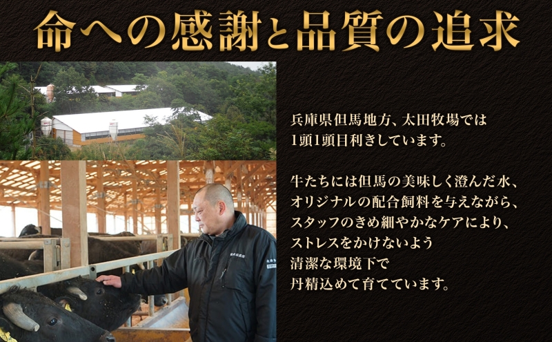 神戸ビーフ ITSS5 しゃぶしゃぶ・すき焼き用セット