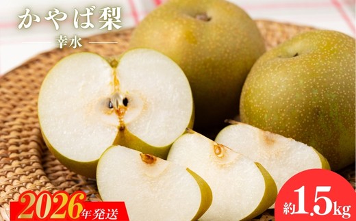 No.2922かやば梨「幸水」約1.5kg【2026年発送　先行予約】
