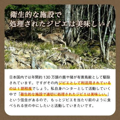 ふるさと納税 綾部市 鹿肉 チョリソー 200g×4パック( 800g 計20本 ) ソーセージ |  | 01