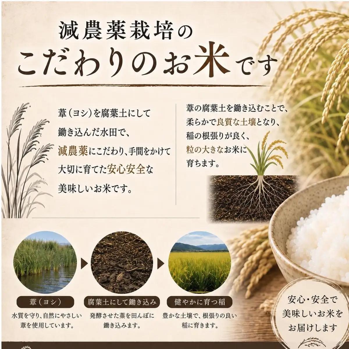＜先行予約＞ 【定期便3回】 米 令和8年産 ひとめぼれ 精米 15kg (5kg×3) 新米 こめ コメ お米 ご飯 白米 ヒトメボレ 定期便 3回 特別栽培米 減農薬栽培 ヨシ腐葉土米 ブランド米