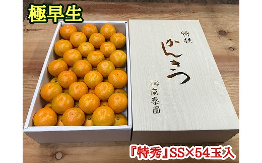 
極早生 みかん 有田 化粧箱 特秀 小玉 SS サイズ 54玉入 南泰園
