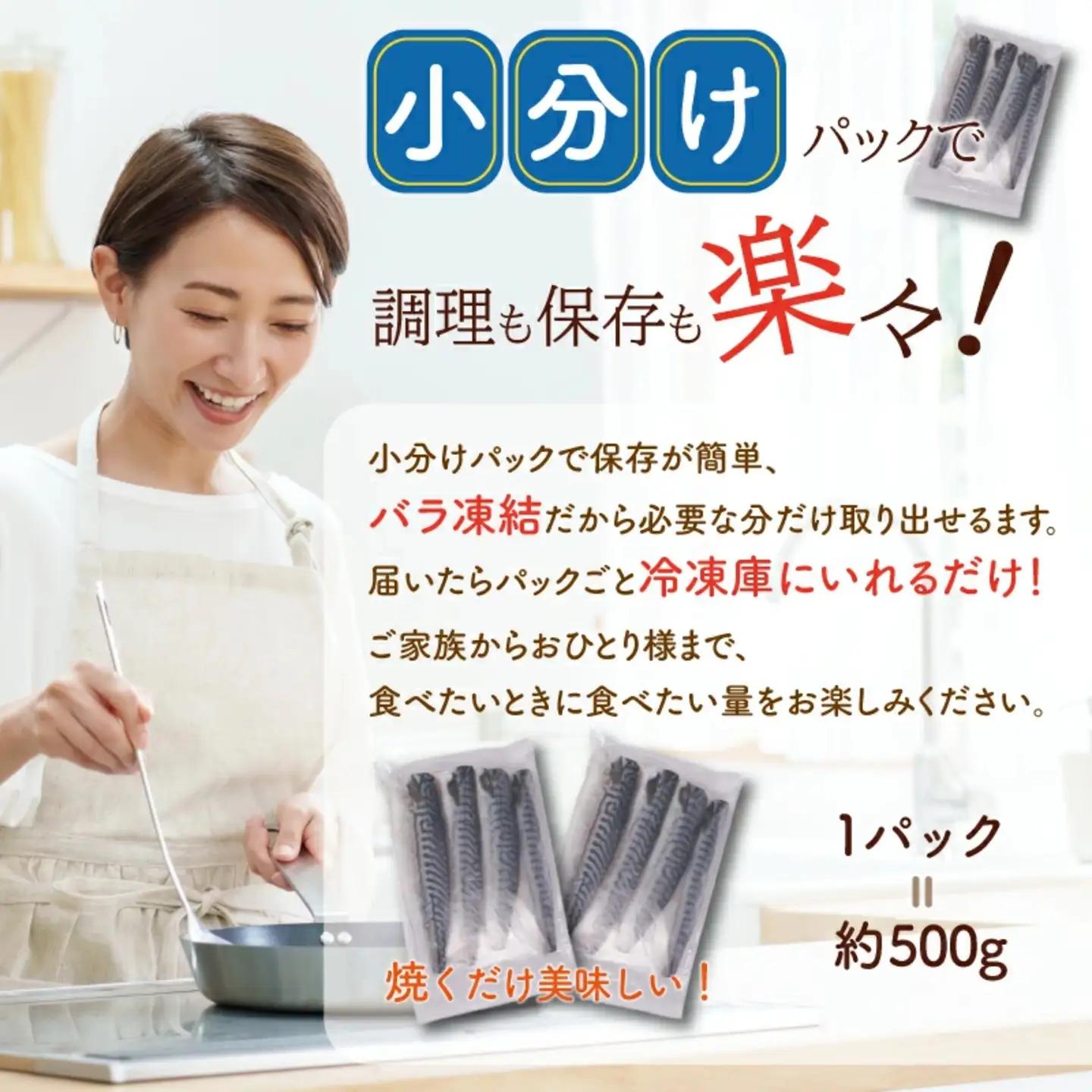 塩鯖 3kg 鯖