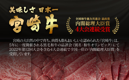 【6ヶ月定期便】ミヤチク　宮崎牛Bコース 焼肉 すき焼き ステーキ等　4等級以上　国産牛肉＜11-2＞