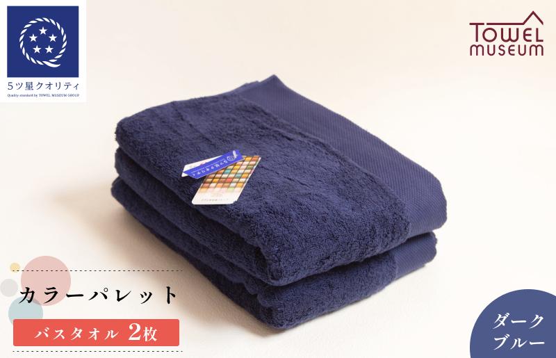
                  カラーパレット バスタオル2枚セット（ダークブルー） タオル美術館 [I001730BT2DB]
                
