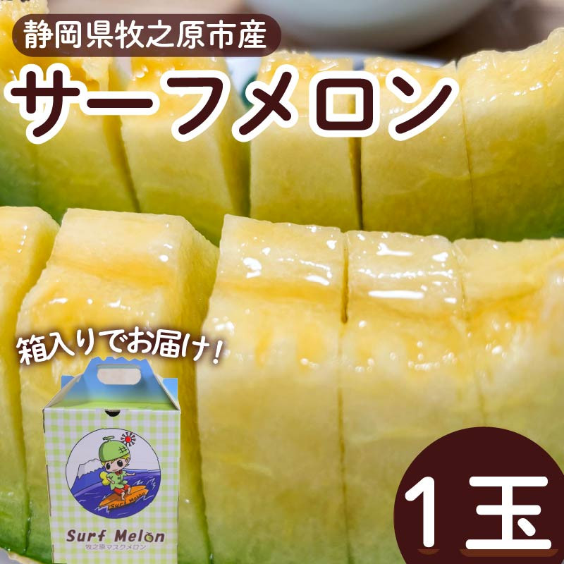 
                  メロン サーフメロン 1玉 マスクメロン フルーツ 果物 高級 ギフト プレゼント 贈答 おいしい ハウス栽培 甘い ジューシー ケーティー 静岡県 牧之原市
                