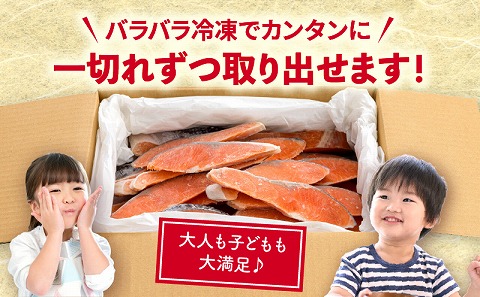 【訳あり】銀鮭　切り身　2.8kg