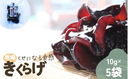 岩手県産 乾燥きくらげ 10g×5袋 コリっとプルプル食感がたまらない国産きくらげ / きくらげ 乾燥きくらげ キノコ 国産