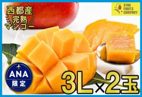 【ANA限定】西都市産完熟マンゴー3Ｌ×2玉（約900ｇ）スターフルーツカンパニー【先行予約】＜1.8-26＞2026年発送分 果物 くだもの フルーツ 宮崎県西都市