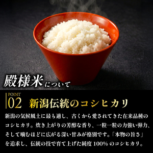 新米予約 新潟県産 越後菅谷殿様米 5㎏ 令和6年産 新潟県産 新発田産 米 5kg 越後菅谷 殿様米 コシヒカリ D05_03 