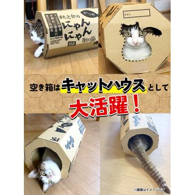 ふるさと納税 笠岡市 秋之介のにゃんにゃん削り節(2ケース)　B-22 |  | 02