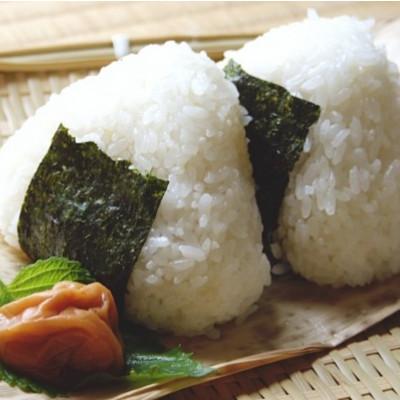 ふるさと納税 広川町 【毎月定期便】福岡有明のり　訳あり!　味付海苔　20g×2袋(広川町)全3回 |  | 02