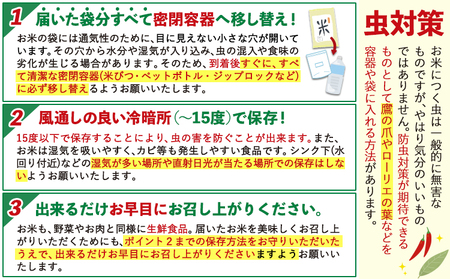 無洗米 ひのひかり 20kg 令和5年産 熊本県産 ふるさと納税 無洗米  精米 ひの 米 こめ ふるさとのうぜい ヒノヒカリ コメ お米 おこめ