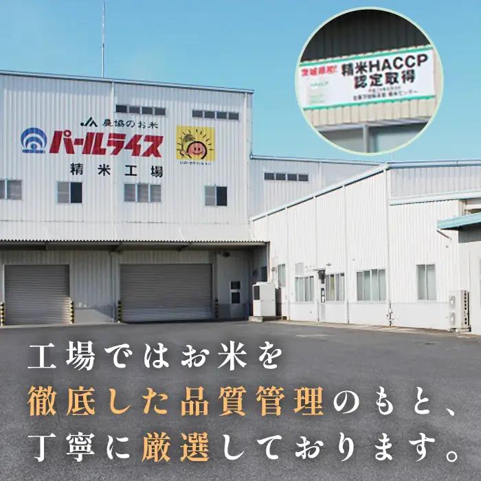 473 ふくまる 10kg 5kg × 2袋 茨城県産 人気 銘柄 令和6年