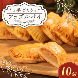 【先行予約受付】 アップルパイ 10個 期間限定
