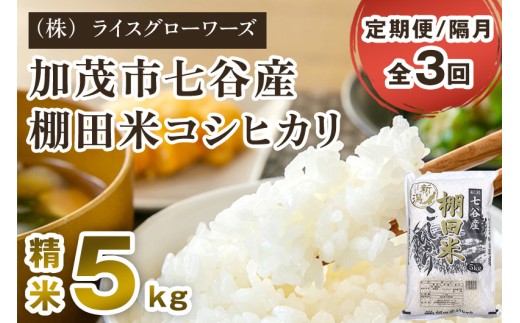 【令和7年産】【定期便3回隔月お届け】七谷産 棚田米コシヒカリ 精米 5kg《順次出荷》 白米 （株）ライスグローワーズ 新潟県 加茂市産 白米 米 お米 定期便
