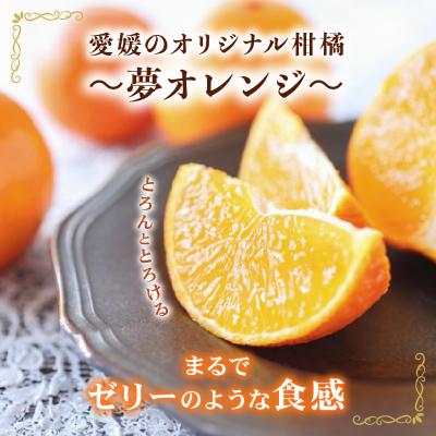 ふるさと納税 愛南町 【特選品】みかん職人の夢オレンジ 3kg オレンジ みかん 柑橘 愛南町 みかん職人武田屋 |  | 01