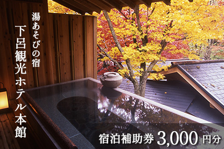下呂温泉【下呂観光ホテル】宿泊補助券(3,000円分）【a013-1】