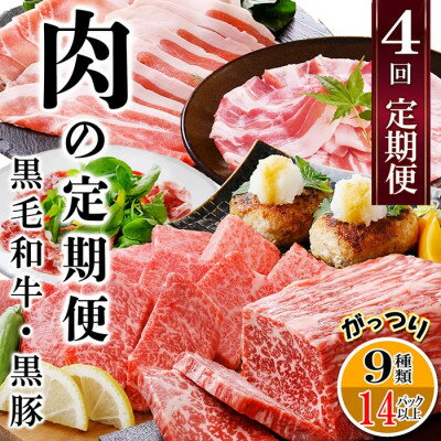 【ふるさと納税】定期便4回配送　肉の定期便 EE-6016_ 定期便 肉 黒毛和牛 黒豚 ロース バラ ハンバーグ ソーセージ 人気 おすすめ 送料無料 贈答 ギフト 鹿児島県 枕崎 【配送不可地域：離島】【1491491】