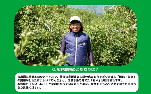 [0742]【令和6年度収穫分】無洗米こしひかり5kg【10カ月定期便】 ※2024年10月頃から順次発送予定　永野農園　長野県飯綱町