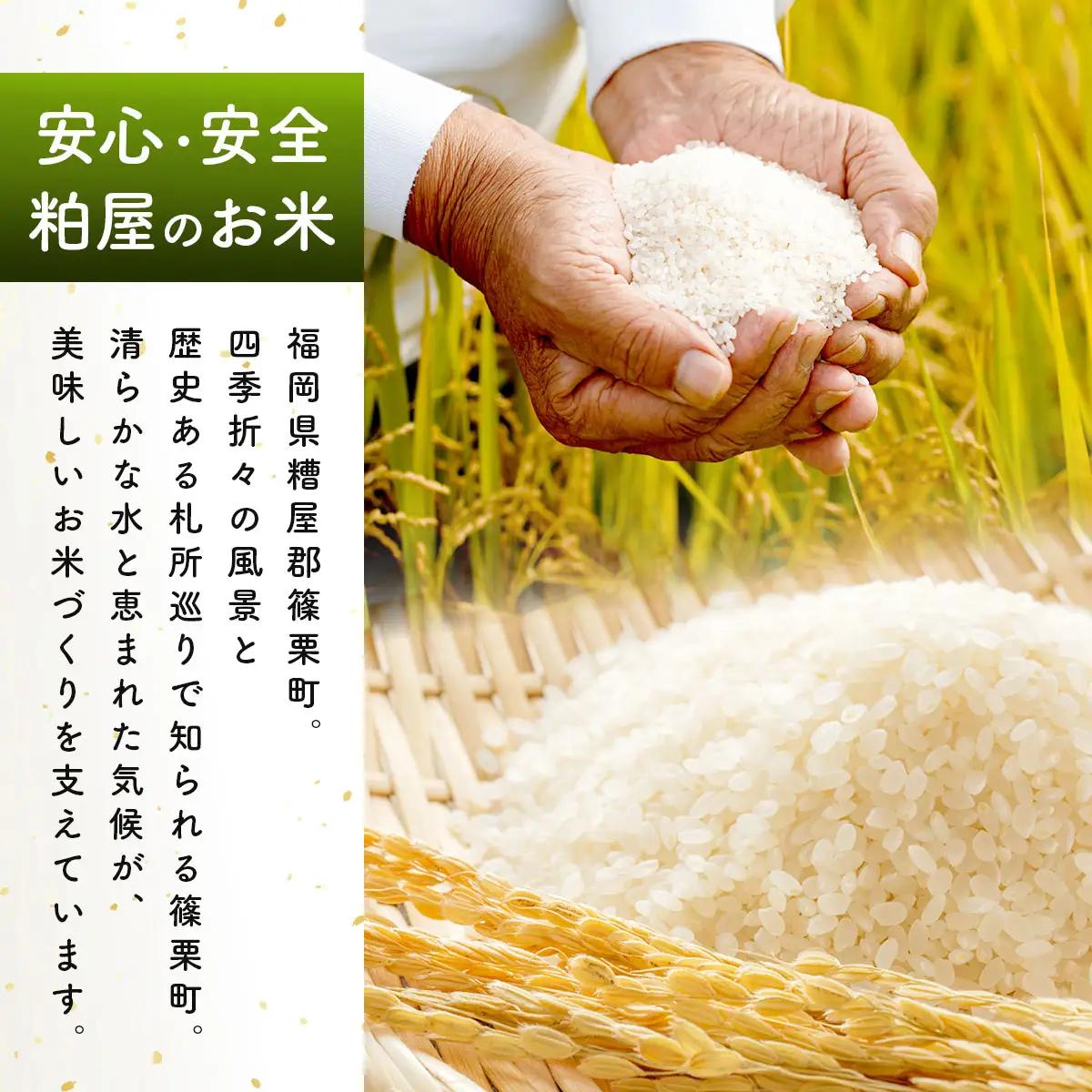 令和7年産 かすやそだち米「元気つくし」精米 10kg (5kg×2)【KN004】