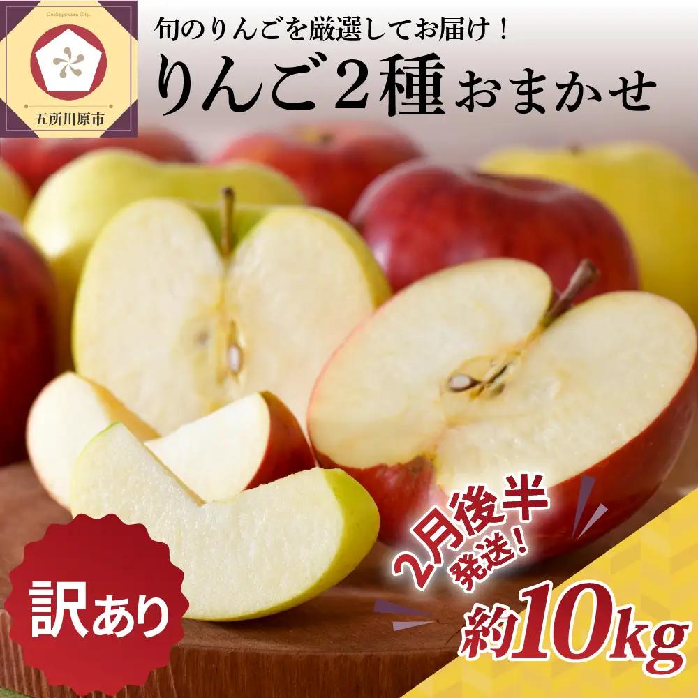 【2027年2月後半発送】 【訳あり】 りんご 約10kg サンふじ確約 青森産 品種おまかせ2種以上