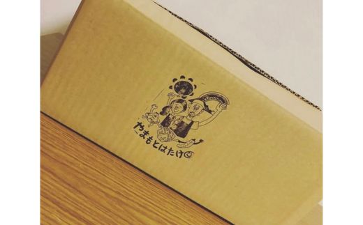 さつまいも2kg　一味唐辛子付き（20g）｜ サツマイモ 紅はるか かんしょ 美浜町産 知多半島産 愛知県産 国産 期間限定 香辛料 調味料 味付け　※北海道・沖縄・離島への配送不可