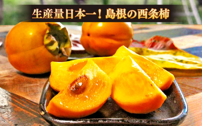 【先行予約】【12月より順次発送】西条柿のドライフルーツと干し柿L セット 島根県松江市/須山農園 [ALBD002]