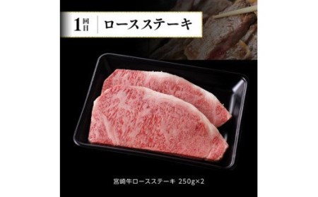 【定期便】宮崎牛６ヶ月定期便Ｂ【 肉 牛肉 国産 黒毛和牛 宮崎牛 肉質等級4等級以上の牛肉 ステーキ スライス 焼肉 全６回 定期便 】