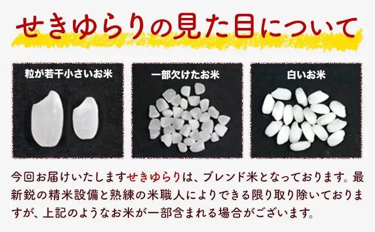 無洗米 せきゆらり 5kg 12ヶ月 定期便 熊本県産 国産 無洗
