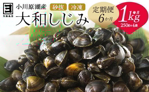 【 6ヵ月定期便 】砂抜き済みで手間いらず！冷凍・小川原湖産大和しじみ1kg（250g×4袋）　【02408-0090】
