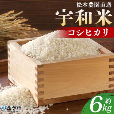 ふるさと納税 西予市 令和7年産:松本農園直送「宇和米(コシヒカリ)」6kg