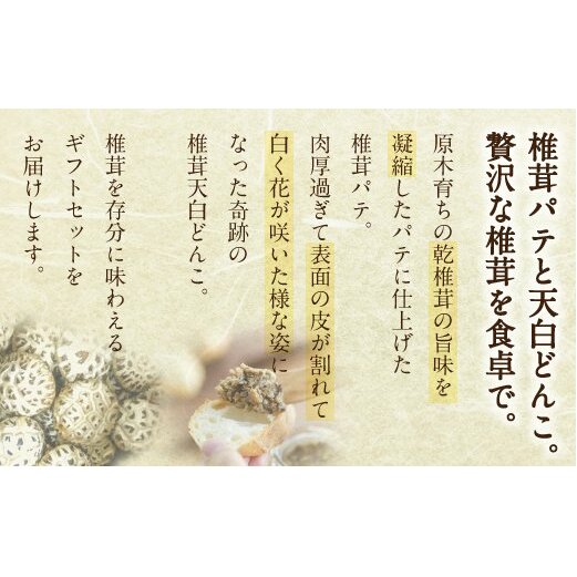 椎茸 パテ 90g×1個 天白 どんこ 45g セット 肉厚 [岡田商店 宮崎県 美郷町 31ac0041] 干し椎茸 乾燥椎茸 椎茸 無添加 料理 国内産 九州産 宮崎県産 ギフト 贈り物 贈答用_