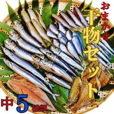 ふるさと納税 山田町 三陸山田 【無添加】おまかせ 干物 セット(中)