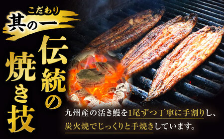 【全3回定期便】 手焼き 炭火焼き うなぎ 蒲焼 ( 2尾 ・タレ付き)【中野鮮魚店】[NAI007]うなぎ 鰻 ウナギ 炭火焼うなぎ 鰻 ウナギ 手焼きうなぎ 鰻 ウナギ 国産うなぎ 鰻 ウナギ う