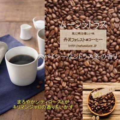 ふるさと納税 大井町 丹沢フォレスト甘味焙煎コーヒー豆 3種 |  | 03