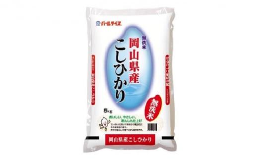 令和6年産 無洗米 岡山県産 こしひかり 10kg（5kg×2袋）