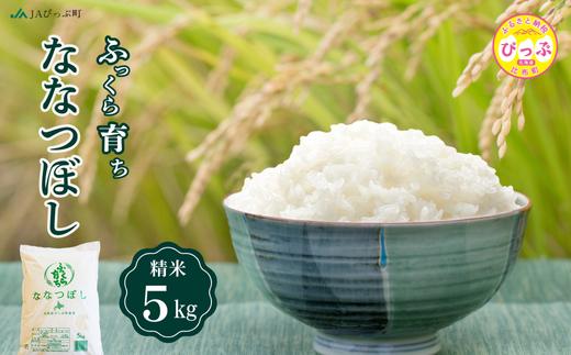 令和7年産 新米 ななつぼし 精米 5kg【JAぴっぷ町】米 お米 北海道産 北海道米 特Aランク 国産 白米 コメ 北海道 比布町 ぴっぷ 1001-003