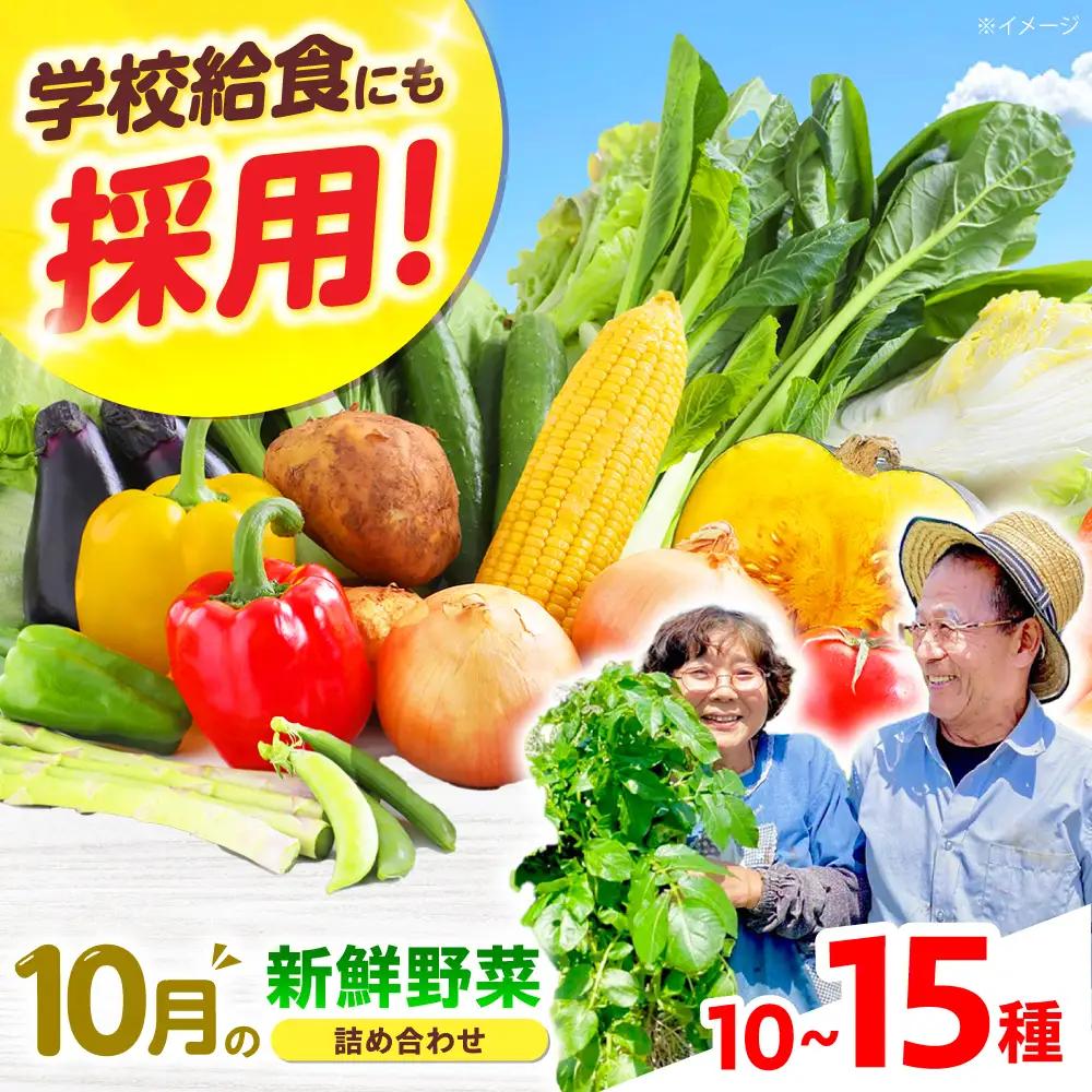 高槻野菜おまかせ詰め合わせセット 10月（10種〜15種）[AOCS016]野菜セット