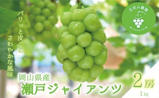 
                  ＜2026年先行受付＞岡山　花笑み農園のブドウ『瀬戸ジャイアンツ』1kg(2房)　G-1_瀬戸ジャイアンツ ぶどう 1kg 2房 贈答 ギフト フルーツ 果物 送料無料 岡山県 津山市【1628319】
                