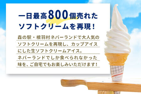 新しくなって新登場★！食べ比べ！生ソフトクリームアイス＆バニラアイスクリーム 16個セット