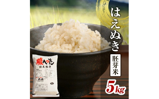 令和7年産 【胚芽米】 はえぬき 5kg×1袋 YA SA2835