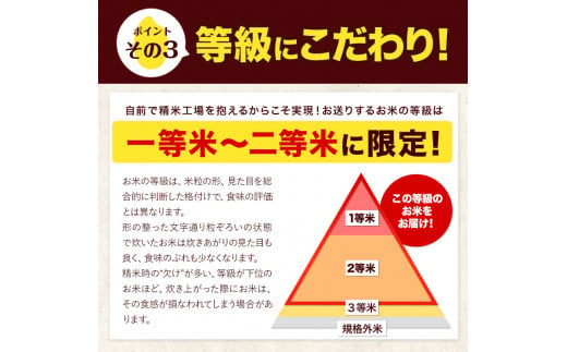 令和5年産 ひのひかり 白米 10kg 《7-14営業日以内に出荷予定(土日祝除く)》 5kg×2袋 熊本県産 米 精米 ひの 熊本県 ---gkt_hn5_wx_24_15500_10kg_h---