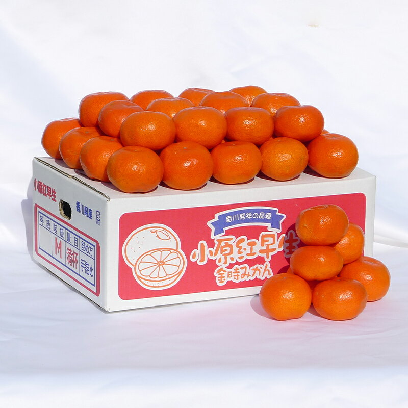 【ふるさと納税】香川県のオリジナル品種 小原紅早生みかん約5kg×2箱 フルーツ 果物類 柑橘類 FAH-0138